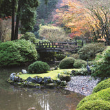 Asian Garden