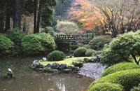 Asian Garden