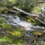 Mountain Stream