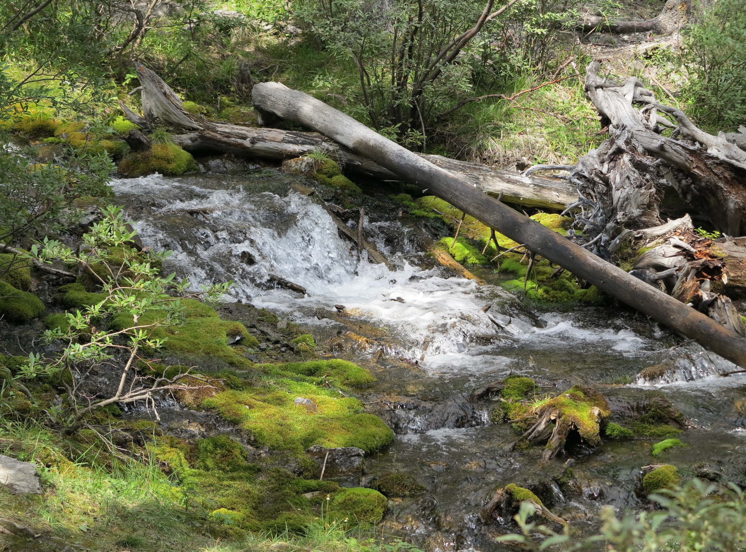 Slide image