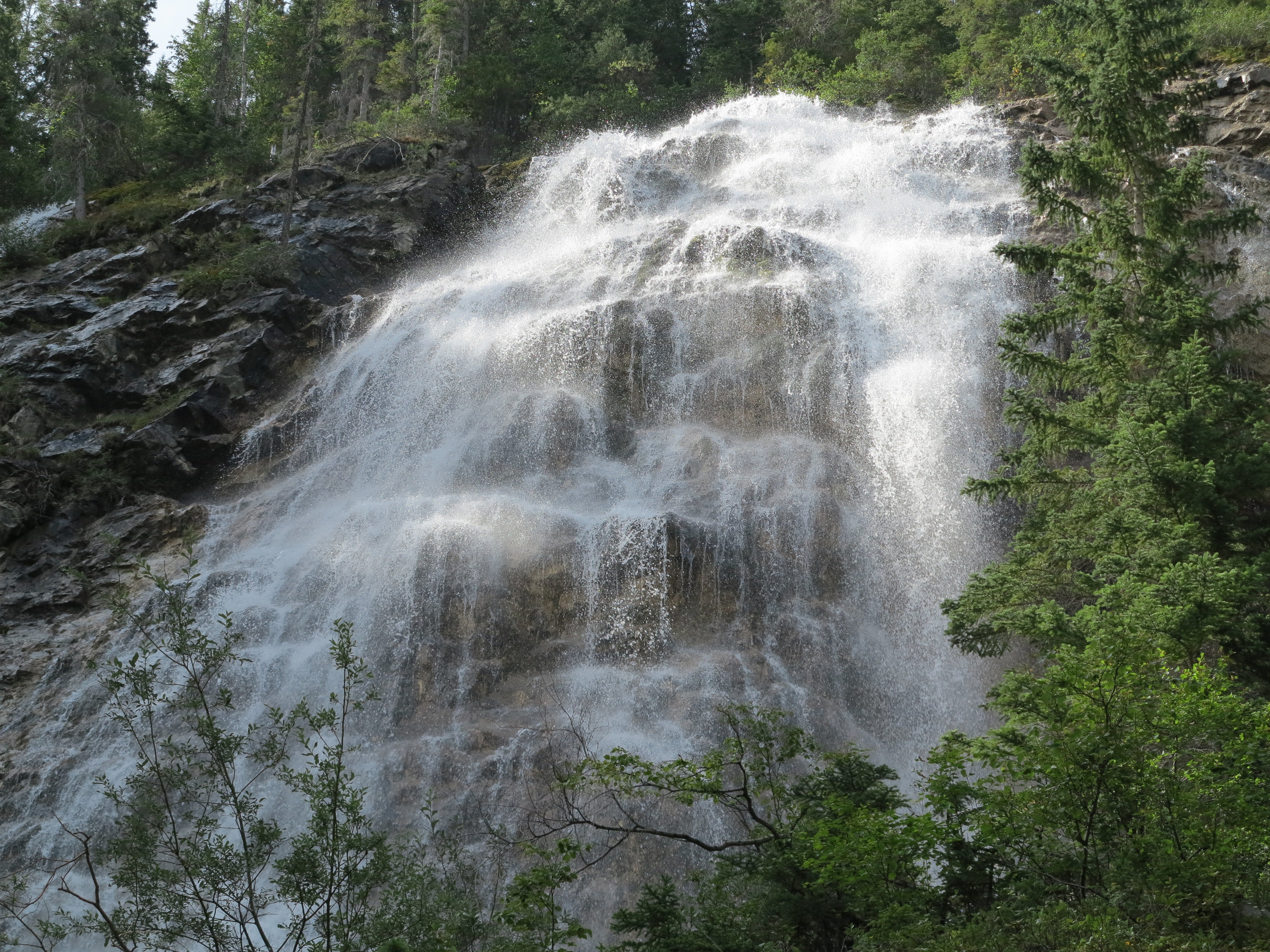 Slide image