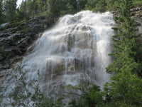 Natural White Noise
