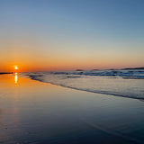 Ocean Night