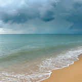 Ocean Rain