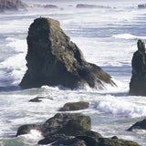Ocean Surf