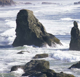 Ocean Surf