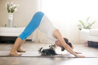 Pet Yoga