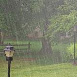 Rain With White Noise