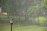 Rain With White Noise
