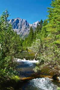 Rocky Mountain Stream (24 hrs)
