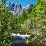 Rocky Mountain Stream (stereo; 24 hrs)