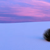 Soft Pink Noise with Delta Waves