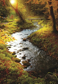 Stream