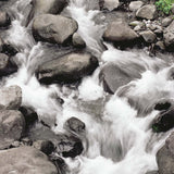 Stream with White Noise
