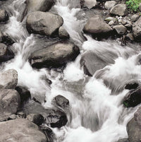 Stream with White Noise
