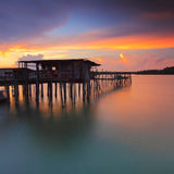 Tranquil Moments