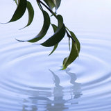 Tranquility