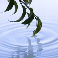 Tranquility