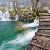 Waterfall Trail