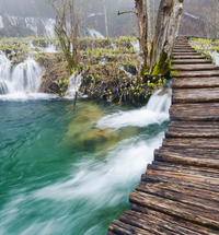 Waterfall Trail