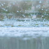 White Rain Green Noise