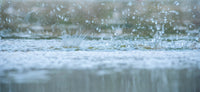 White Rain Green Noise