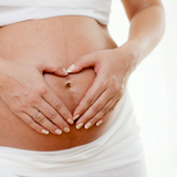 Womb