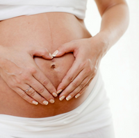 Womb