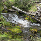 Small Rocky Mountain Stream