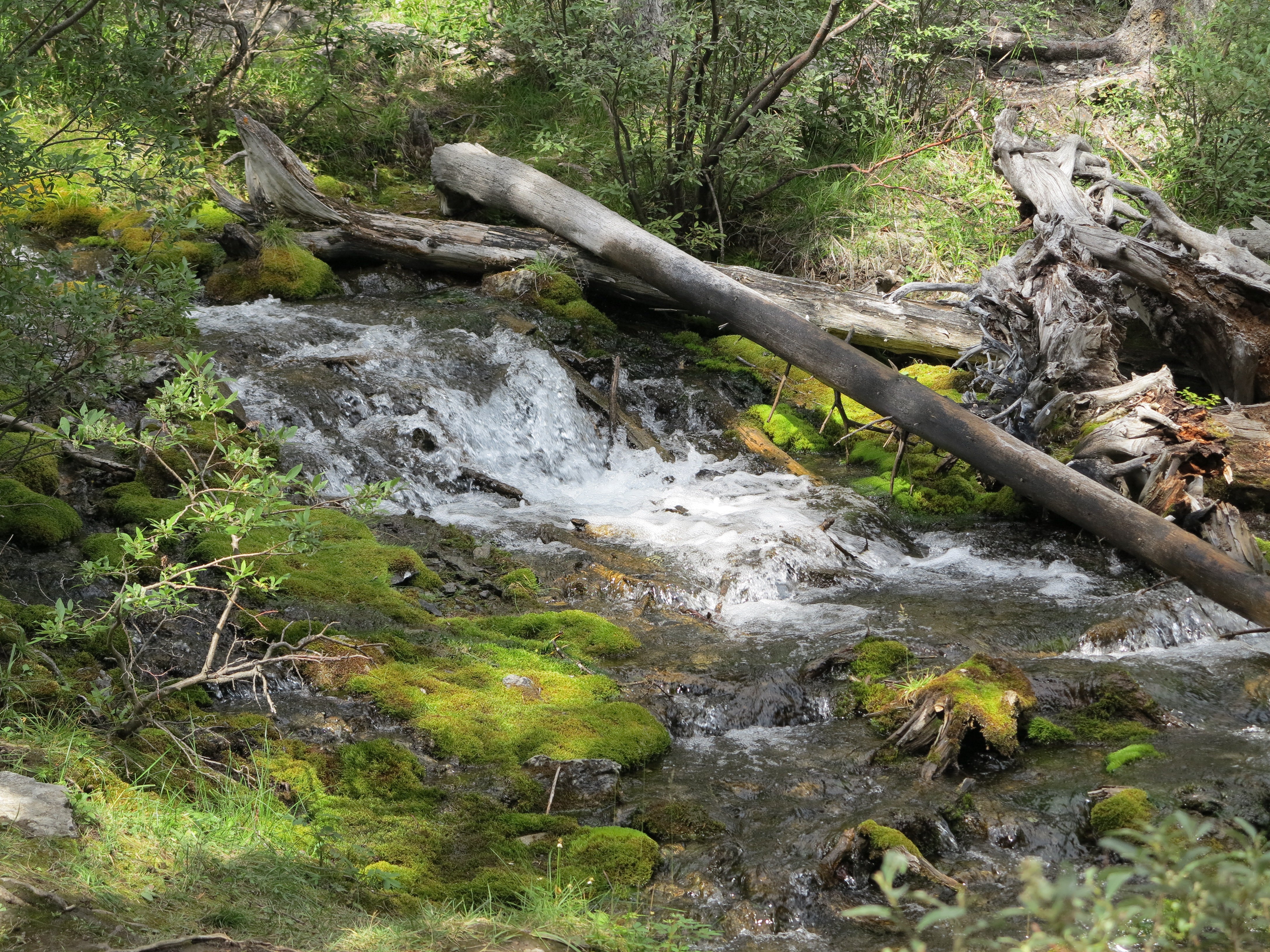 Slide image