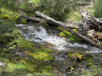 Small Rocky Mountain Stream