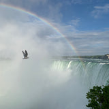 Niagara Falls Stereo Version