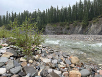 Stream with Light Rain Stereo Version