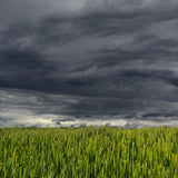 Rain and Thunder Stereo Version