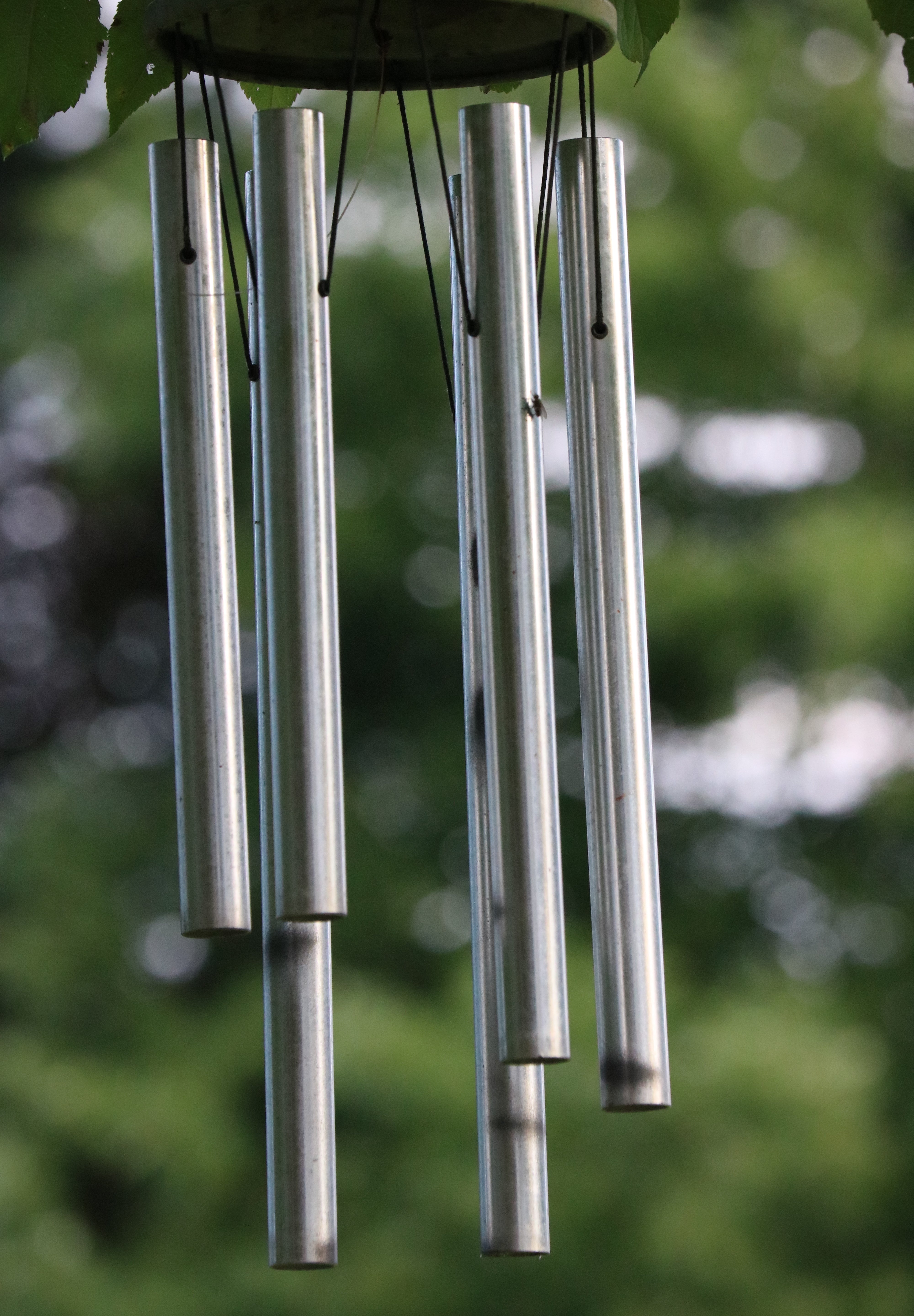 Slide image