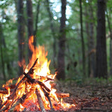 Camp Fire