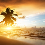 Caribbean Surf