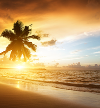 Caribbean Surf