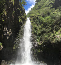 Hawaii Falls