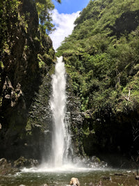 Hawaii Falls Green Noise