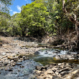 Hawaii Stream