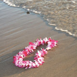 Hawaiian Surf