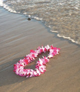 Hawaiian Surf