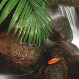 Island Stream