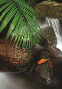 Island Stream