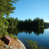 Lakeshore