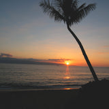 Maui Surf