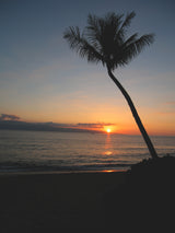 Maui Surf