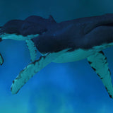 Maui Whales