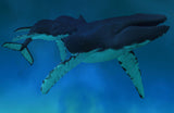 Maui Whales